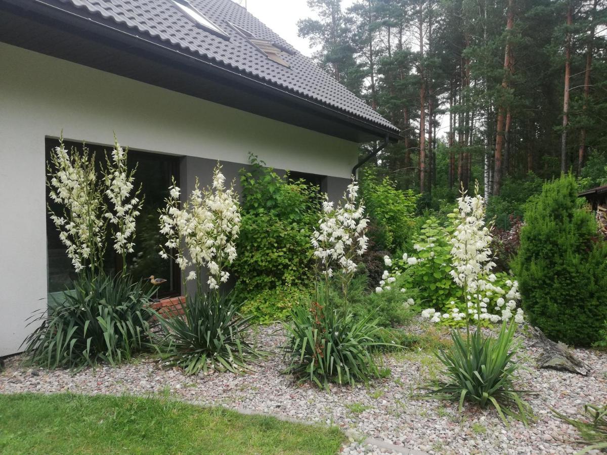Cudodomek Spa W Mrozach Wielkich Kolo Elku Exteriér fotografie