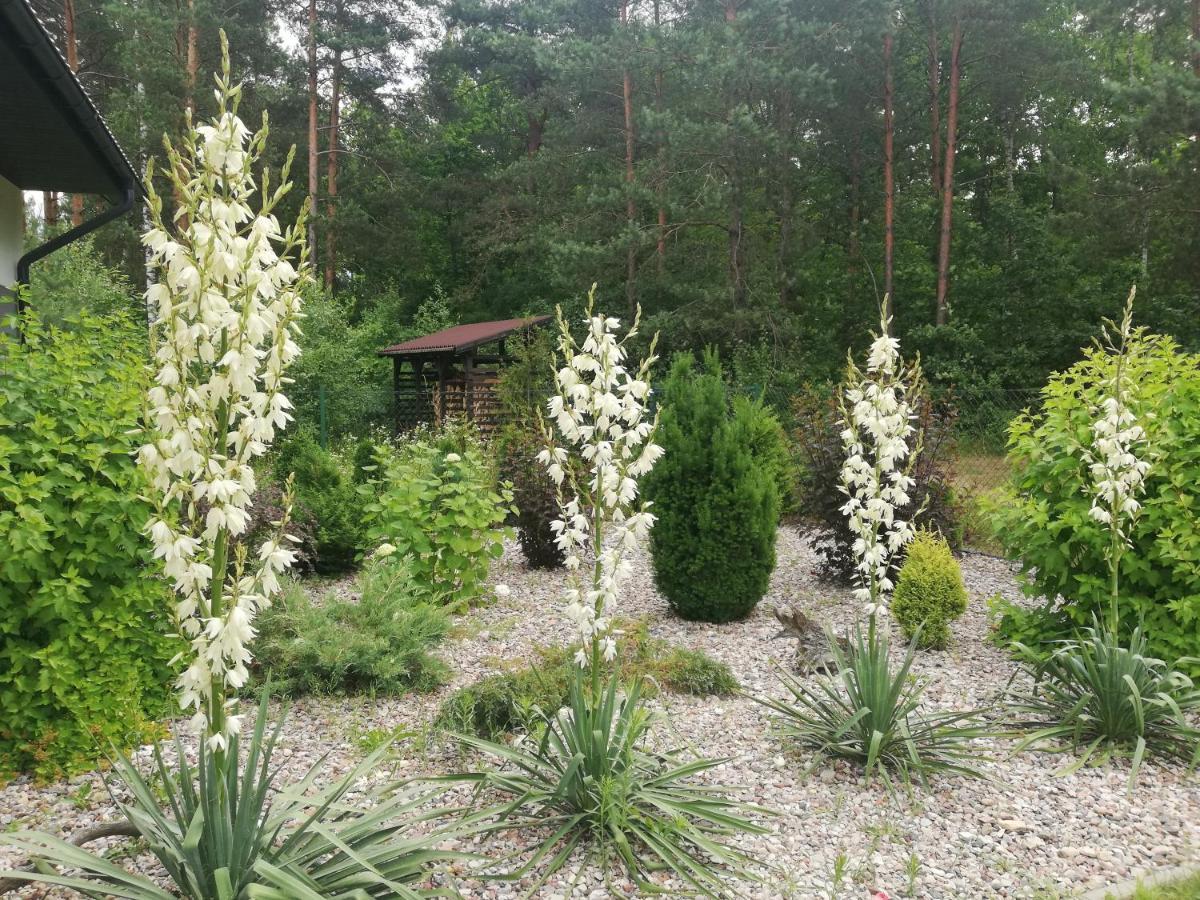 Cudodomek Spa W Mrozach Wielkich Kolo Elku Exteriér fotografie